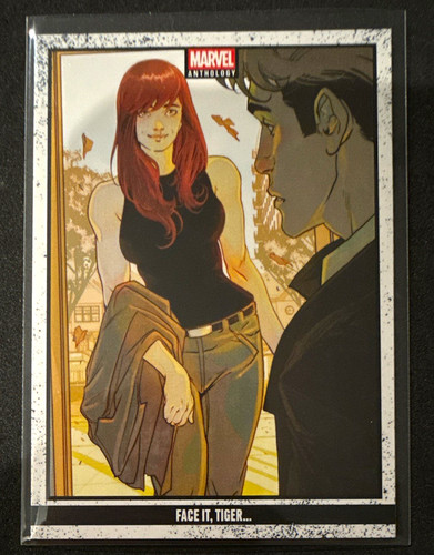 Panini 2025 marvel - panini,